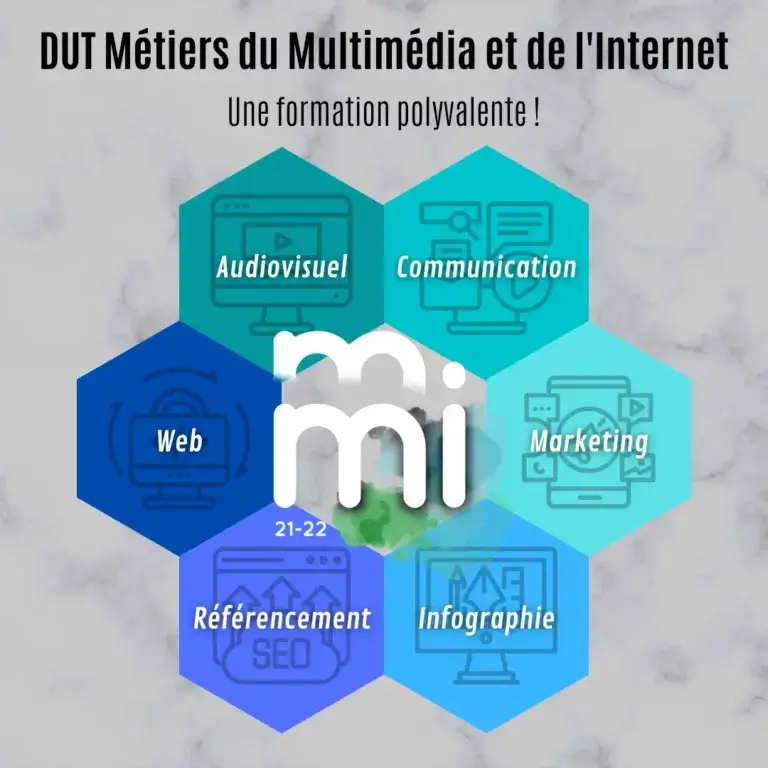 Infographie sur le DUT MMI